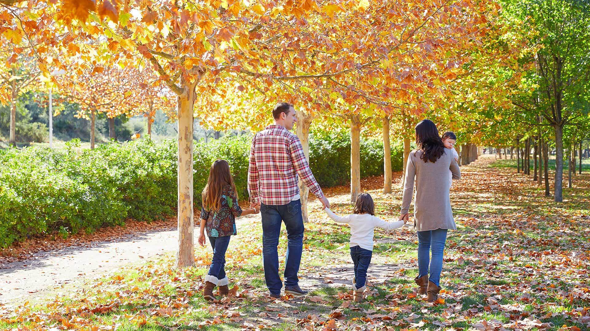 Family Walking In An Autumn Park